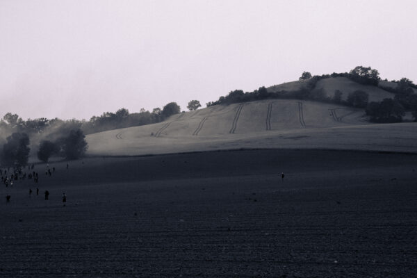 Terre à Vif
